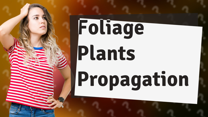 Foliage Plants Propagation