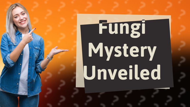 Fungi Mystery Unveiled