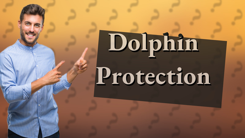 Dolphin Protection
