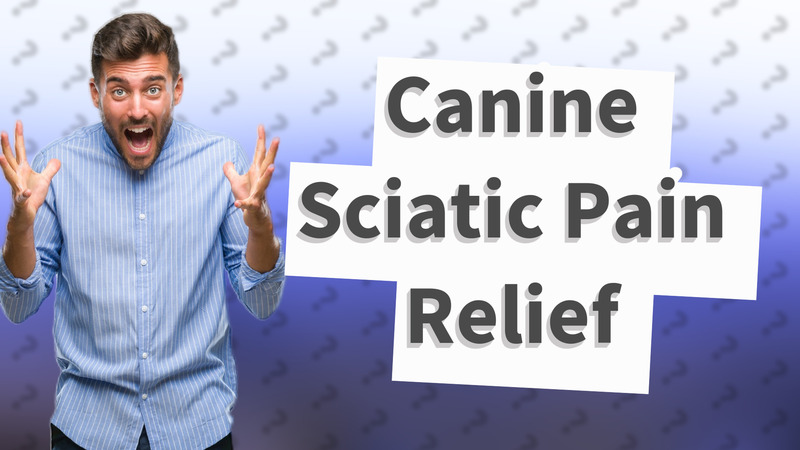 Canine Sciatic Pain Relief