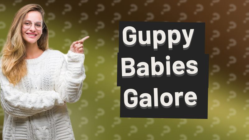 Guppy Babies Galore