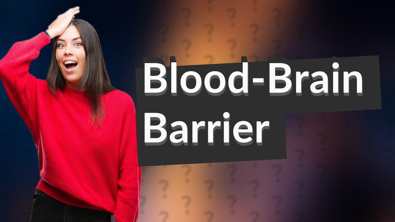Blood-Brain Barrier