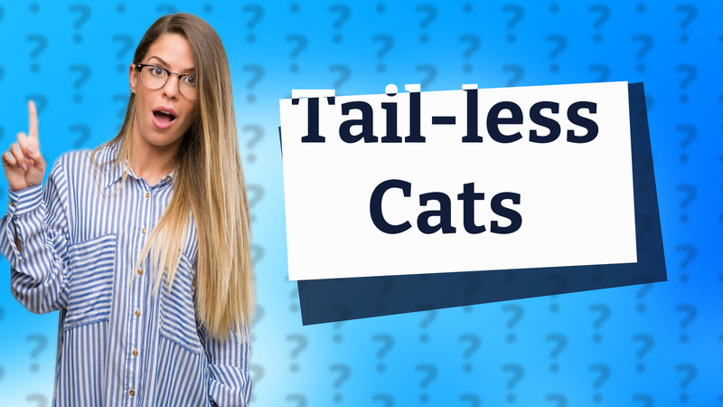 Tail-less Cats