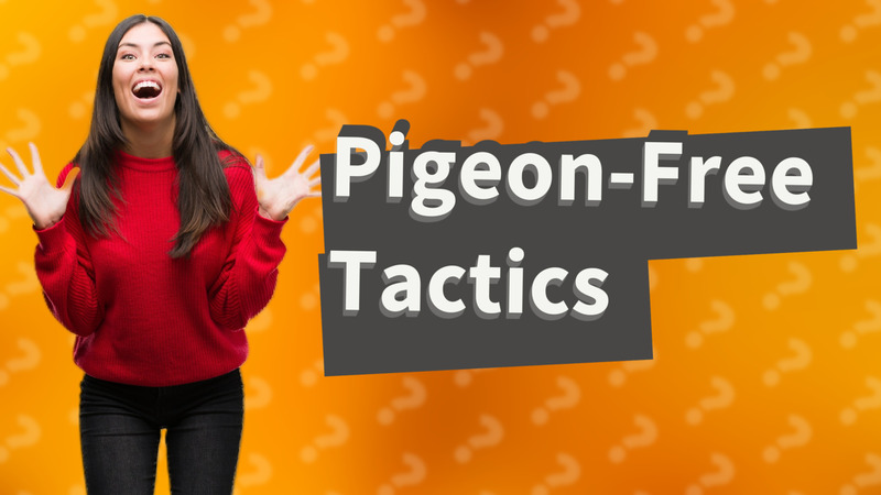 Pigeon-Free Tactics