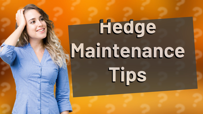 Hedge Maintenance Tips
