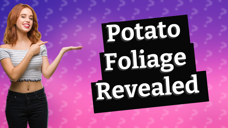 Potato Foliage Revealed