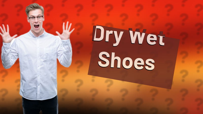 Dry Wet Shoes