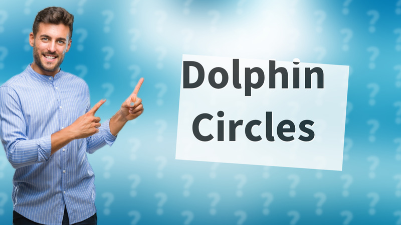 Dolphin Circles
