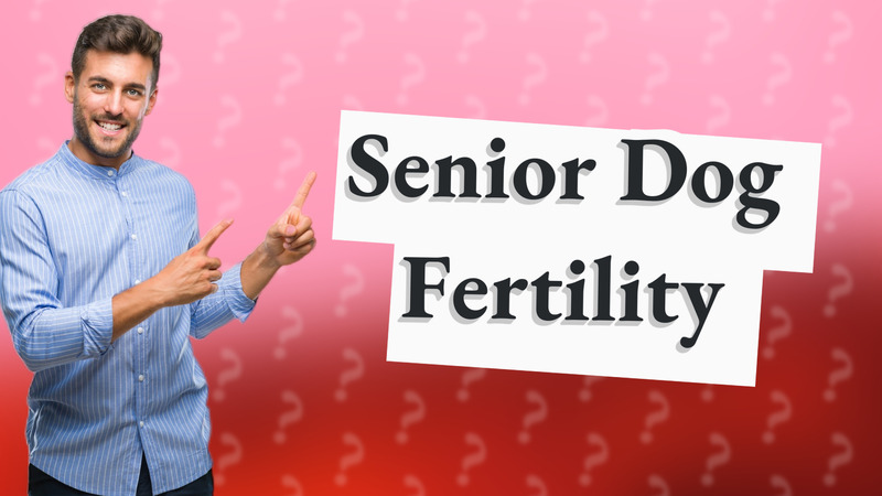 Senior Dog Fertility