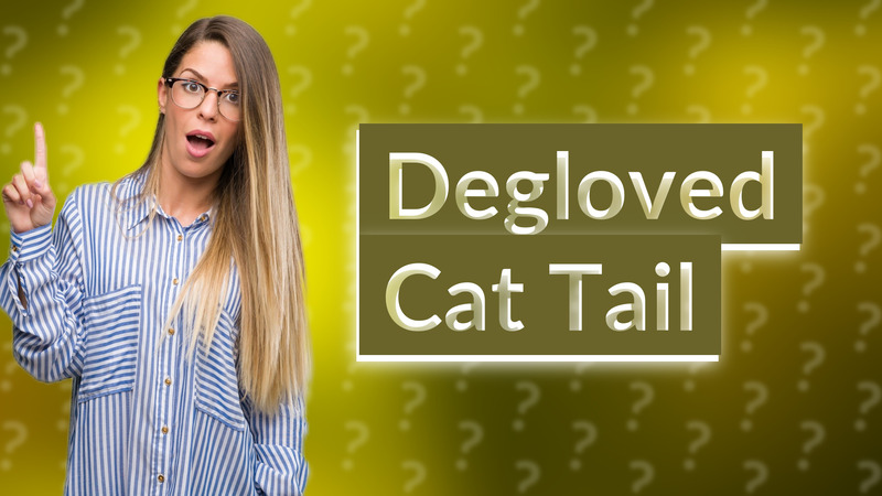 Degloved Cat Tail