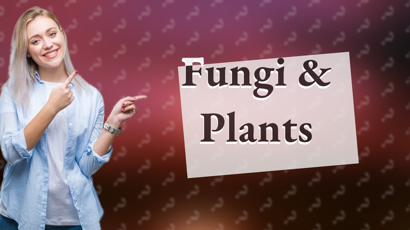 Fungi & Plants