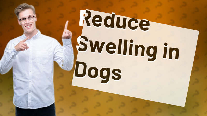 Reduce Swelling in Dogs
