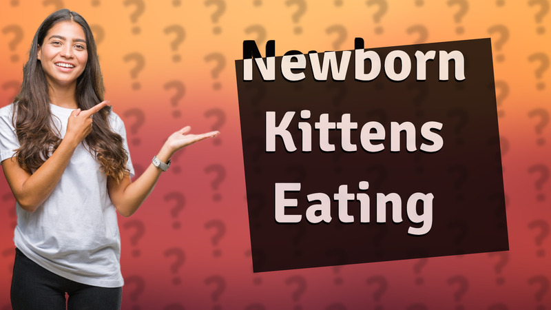 Newborn Kittens Eating