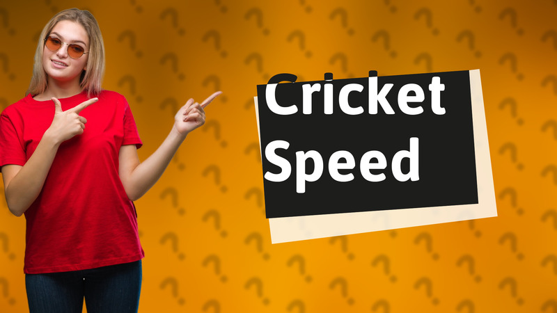 Cricket Speed