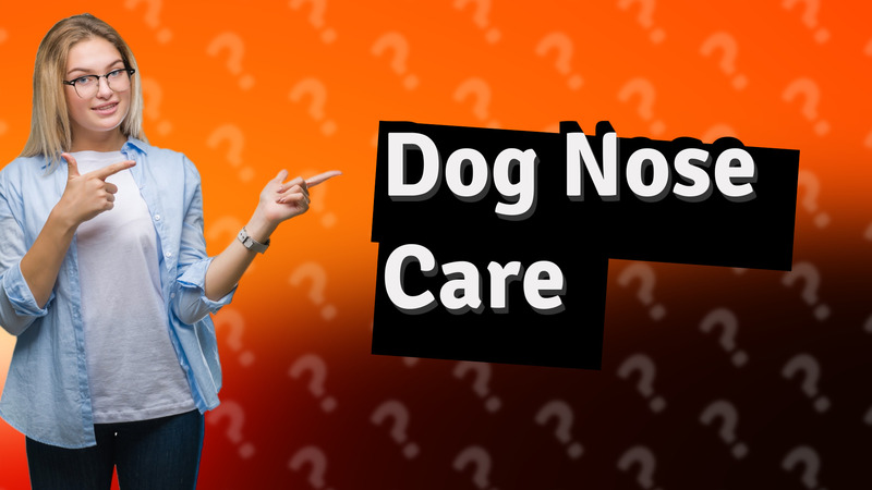 Dog Nose Care