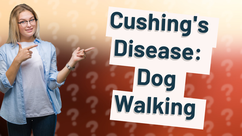 Cushing's Disease: Dog Walking