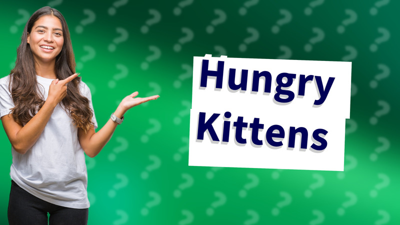 Hungry Kittens