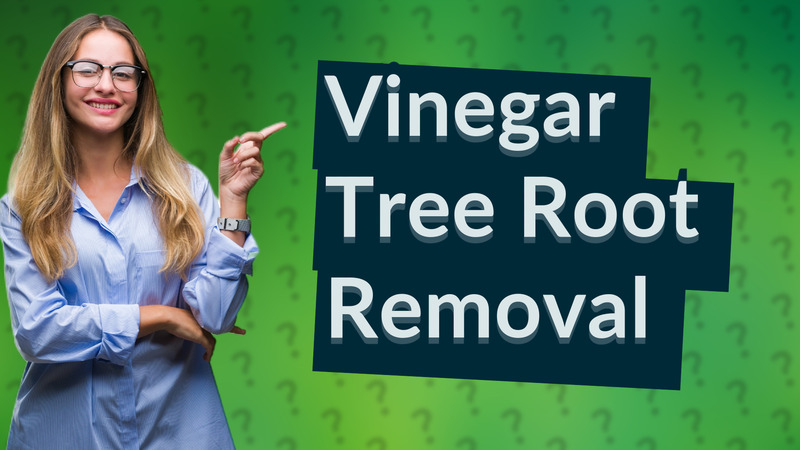 Vinegar Tree Root Removal