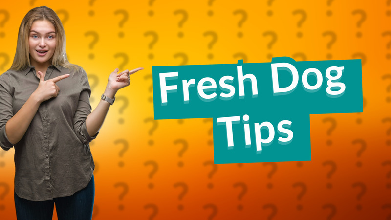 Fresh Dog Tips