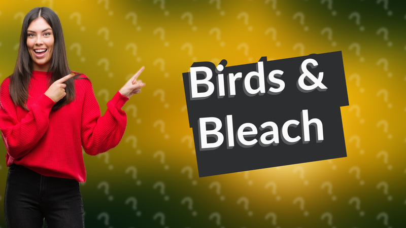 Birds & Bleach