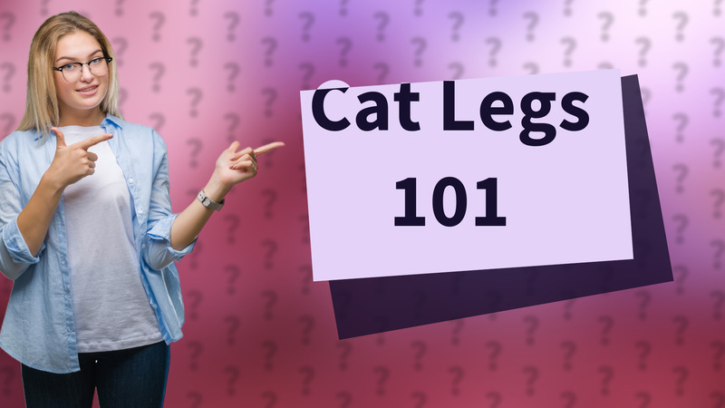 Cat Legs 101