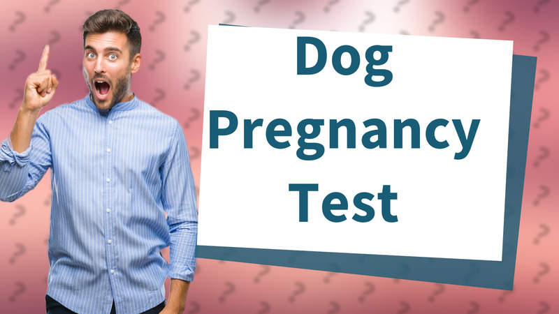 Dog Pregnancy Test