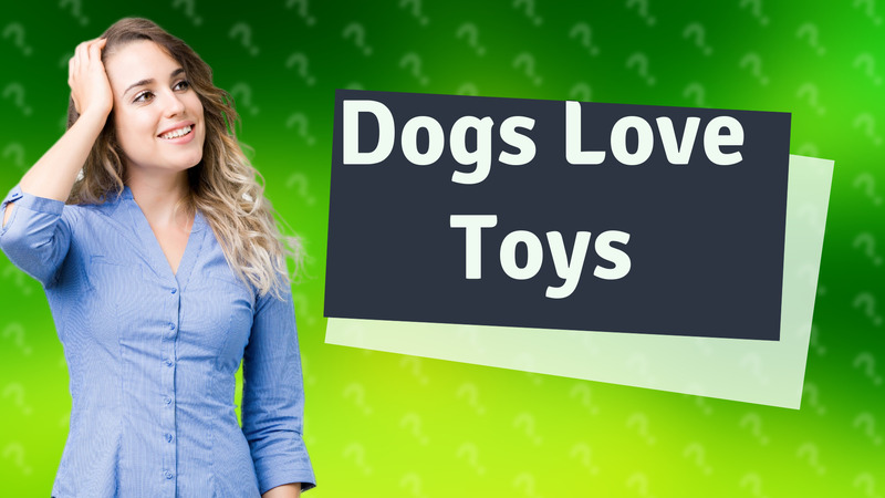 Dogs Love Toys
