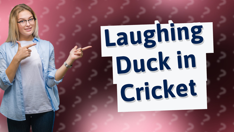 Laughing Duck in Cricket
