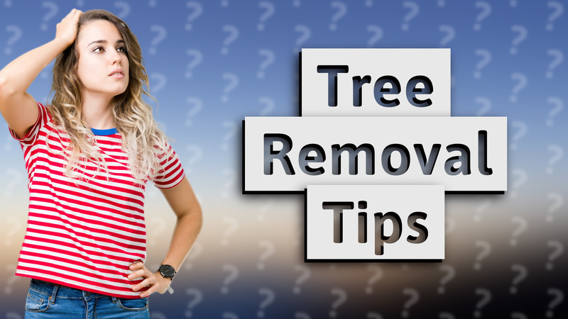 Tree Removal Tips