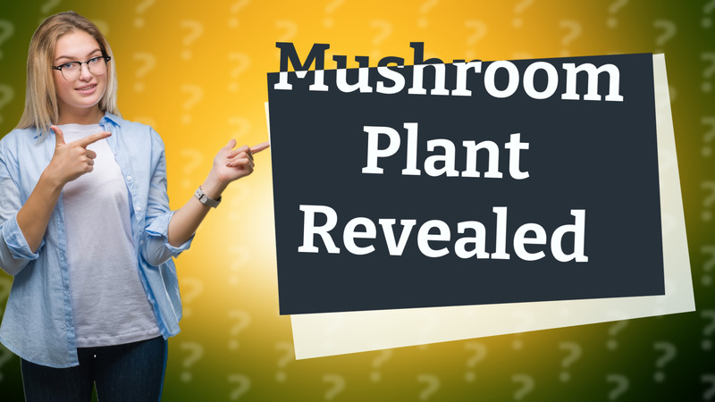 Mushroom Plant Revealed