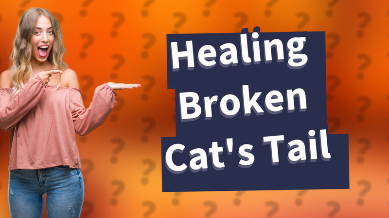 Healing Broken Cat's Tail