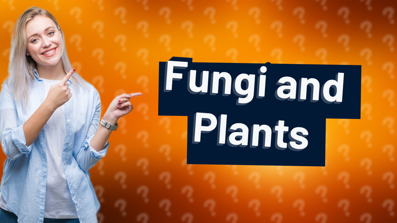 Fungi and Plants