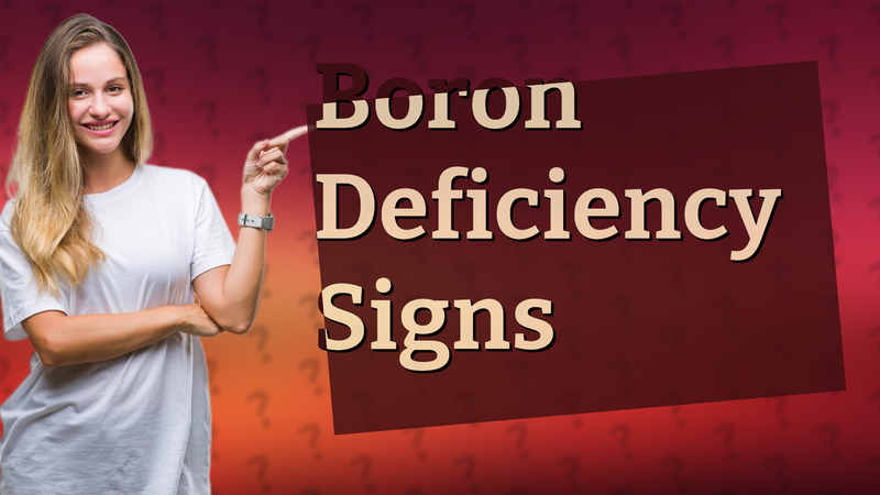 Boron Deficiency Signs