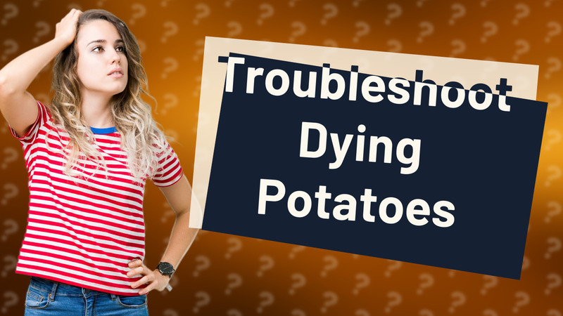 Troubleshoot Dying Potatoes