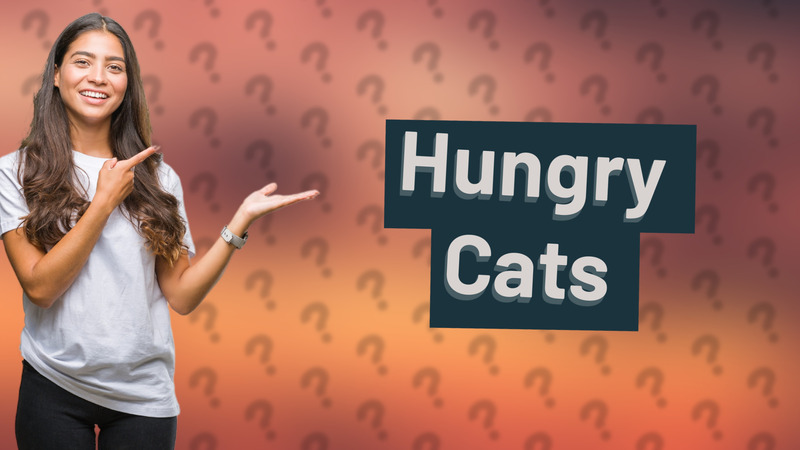 Hungry Cats