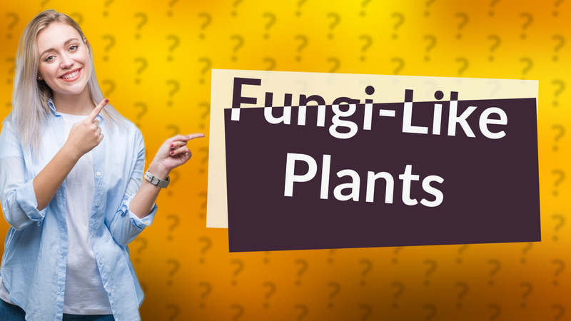 Fungi-Like Plants