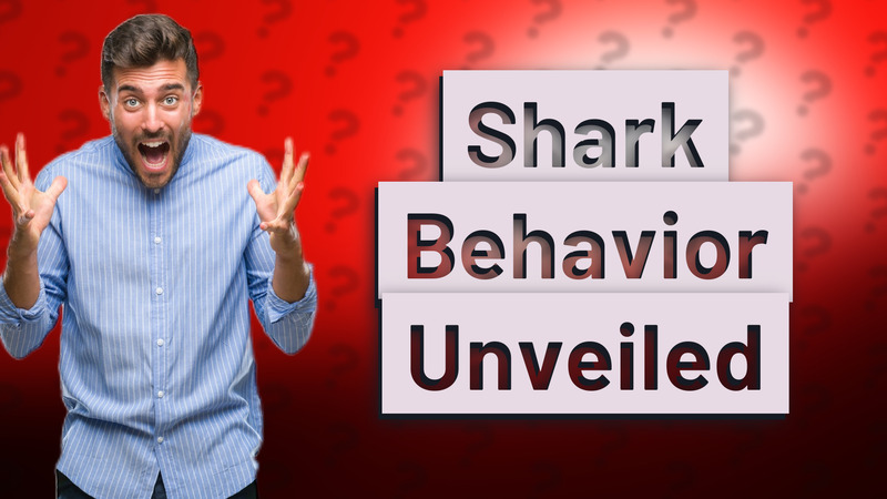 Shark Behavior Unveiled