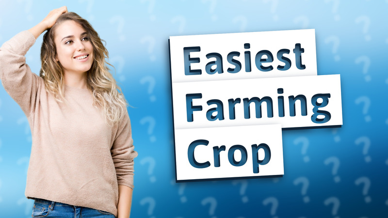 Easiest Farming Crop