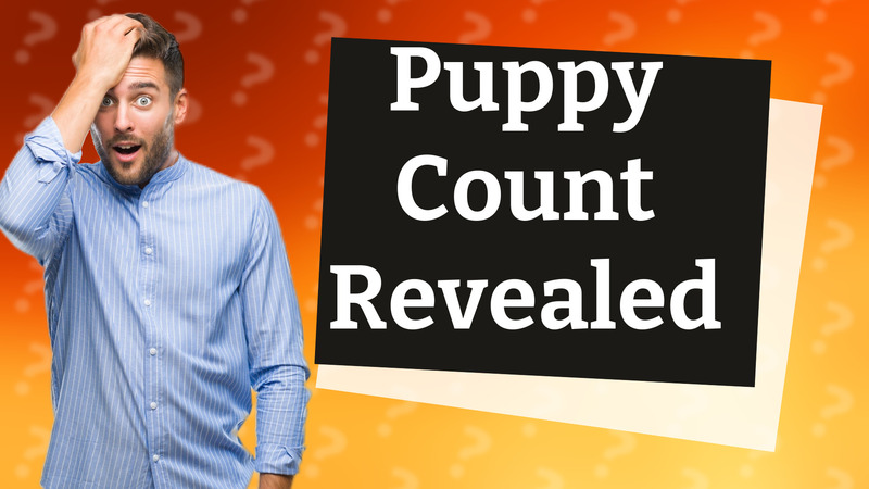 Puppy Count Revealed