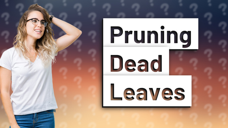Pruning Dead Leaves