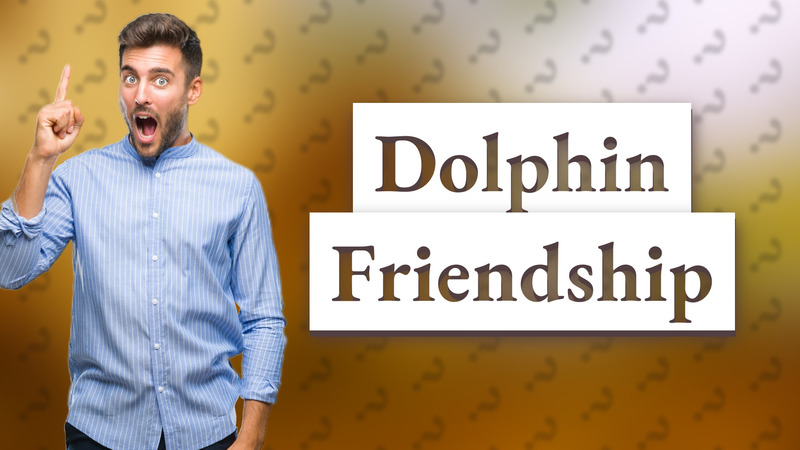 Dolphin Friendship