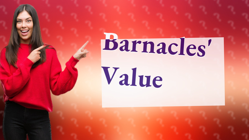 Barnacles' Value