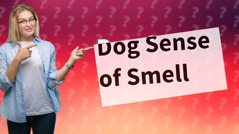 Dog Sense of Smell