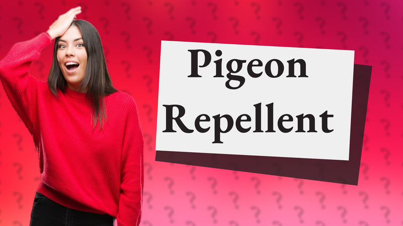 Pigeon Repellent