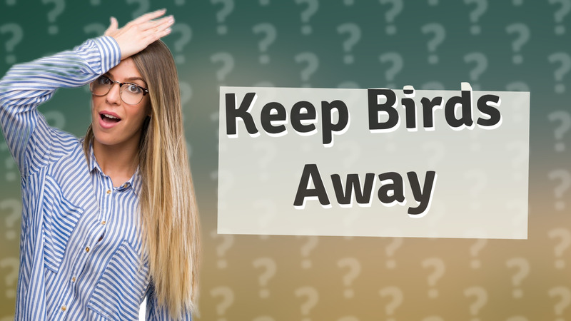 Keep Birds Away