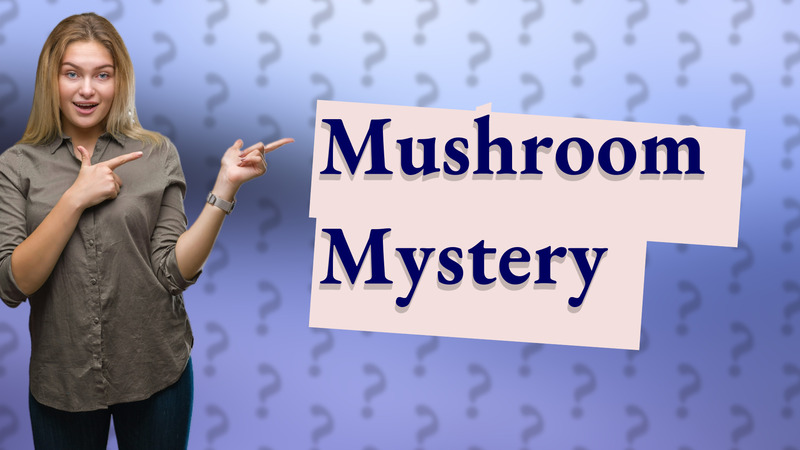 Mushroom Mystery