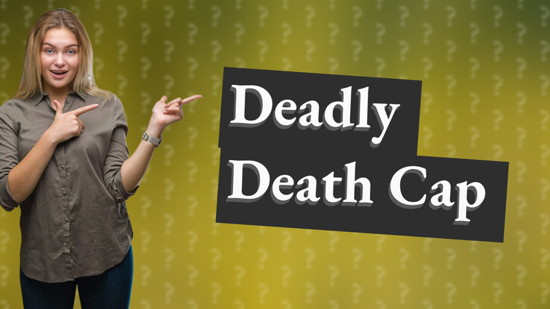 Deadly Death Cap