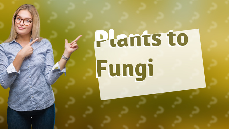 Plants to Fungi