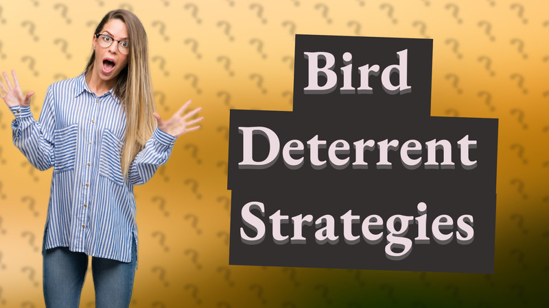 Bird Deterrent Strategies