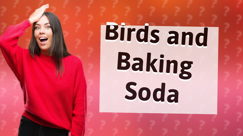 Birds and Baking Soda